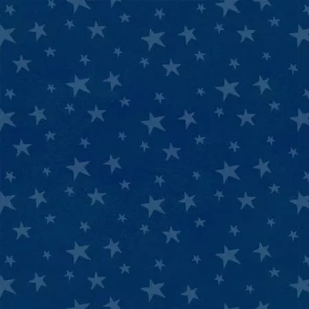Navy Stars