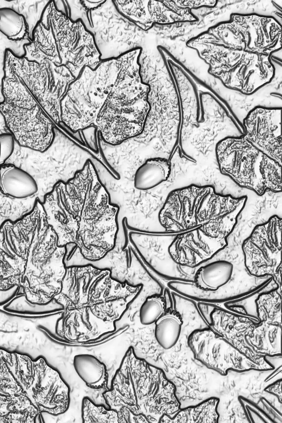 Sizzix Sizzx 3-D Texture Fades Embossing Folder Acorns by Tim Holtz |